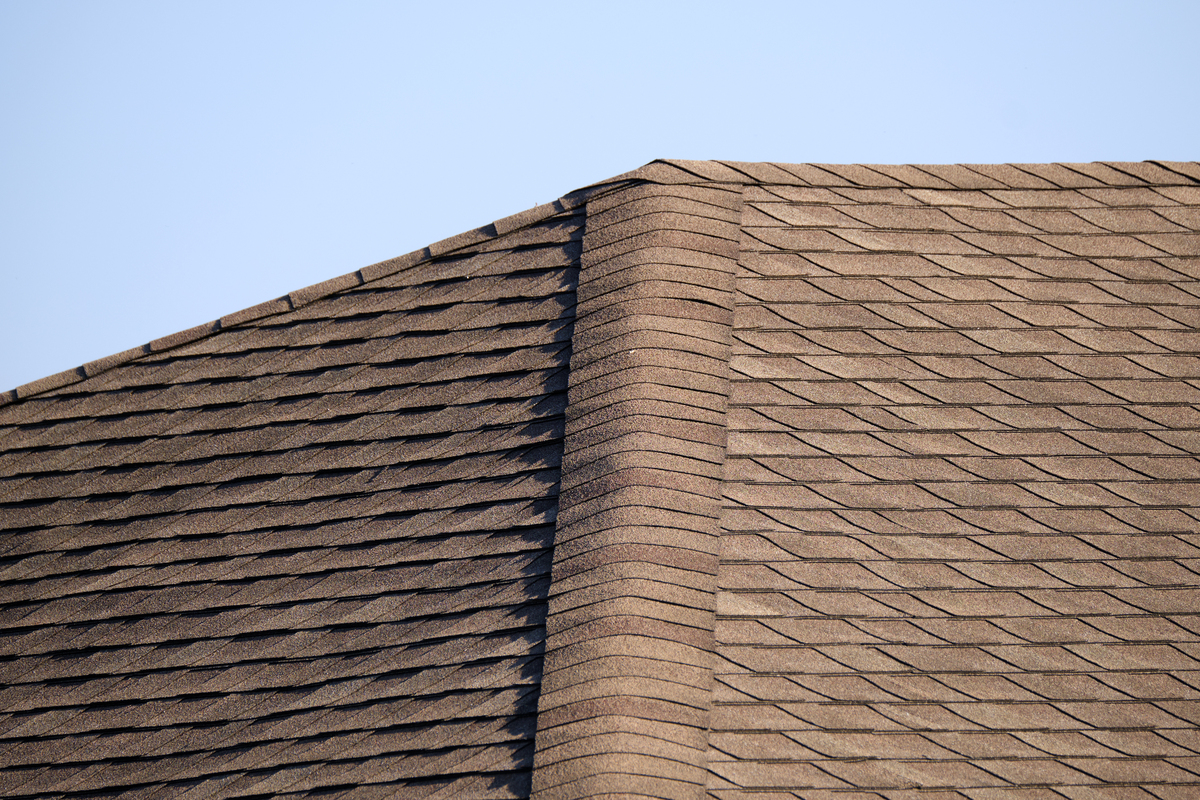 A close-up view of asphalt shingles on a residential roof.