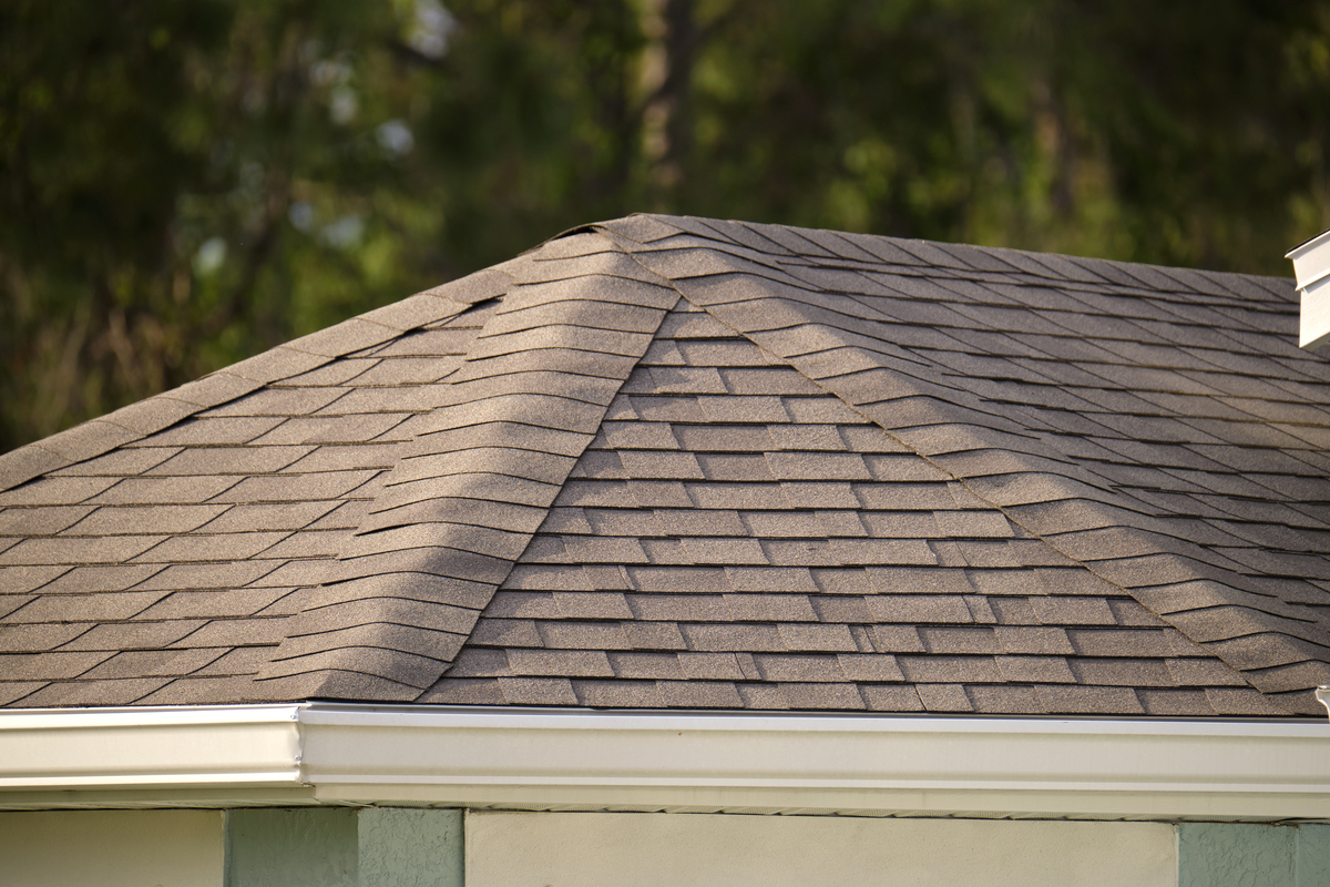 The corner of a house with new shingles and a white gutter.