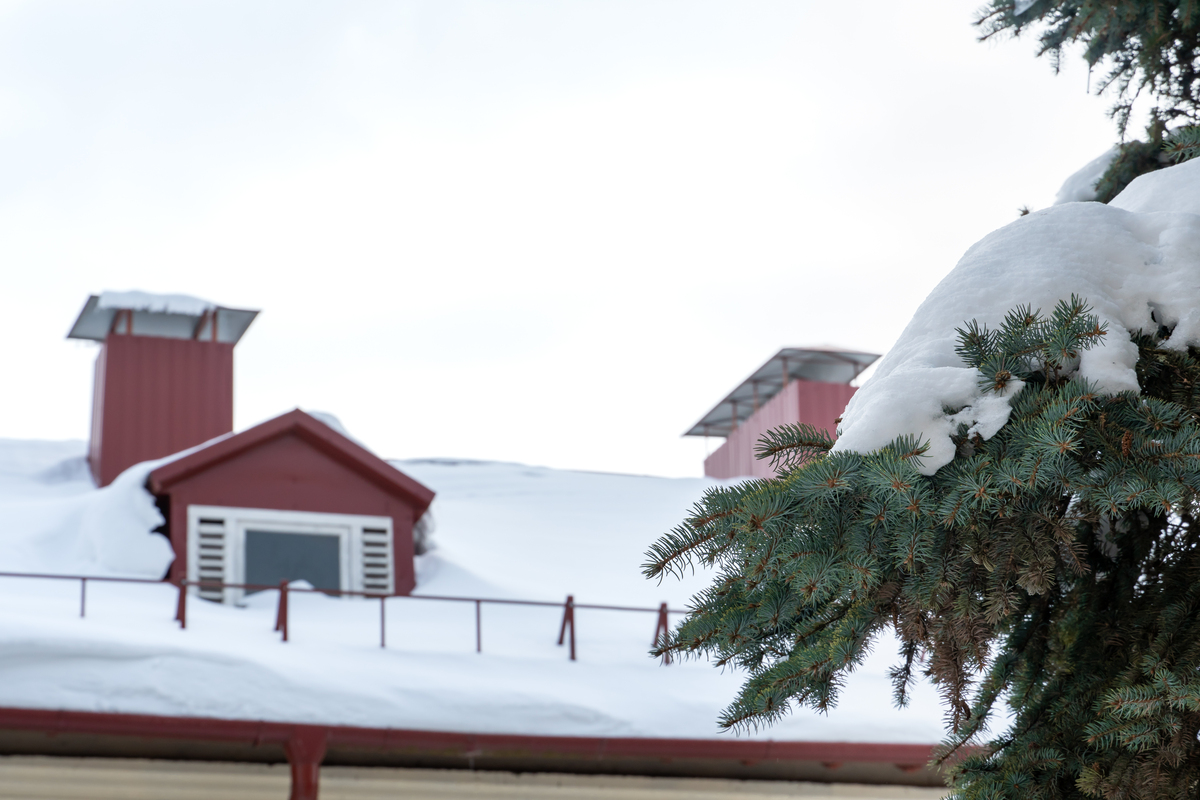 A blanket of snow on a red house with a red chimney.