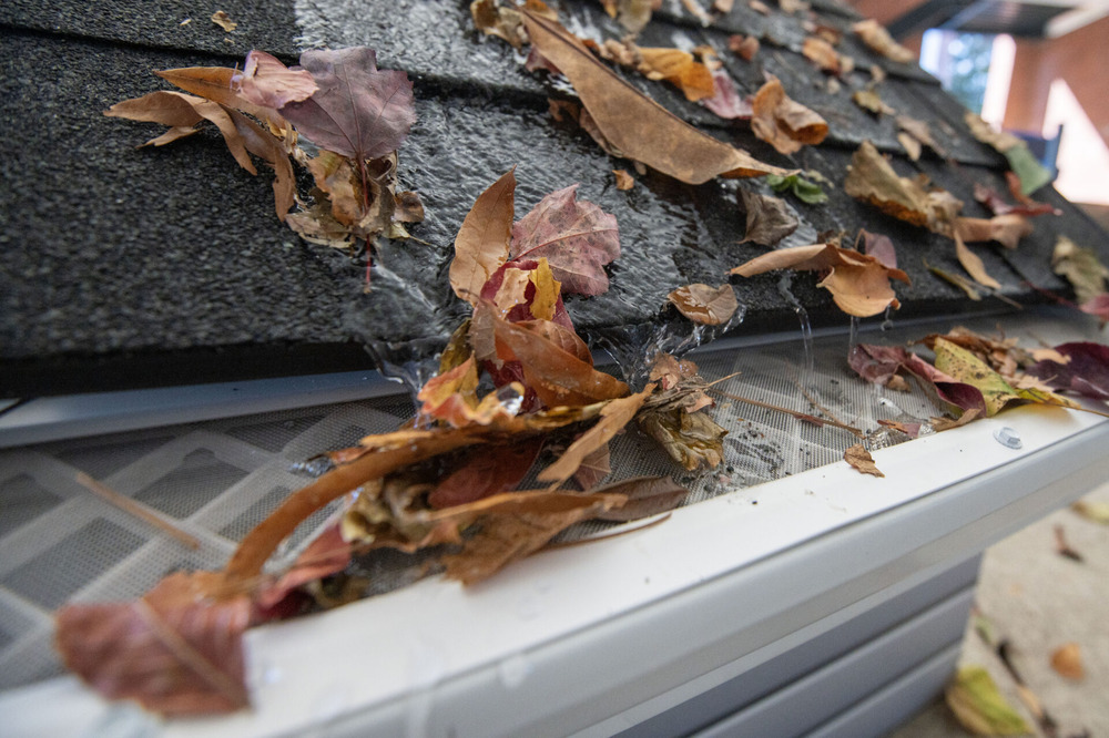 Close-up of an overflowing gutter clogged with leaves and pine needles