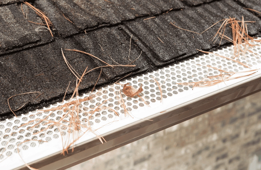 Pine needles matted on a Massachusetts rooftop gutter