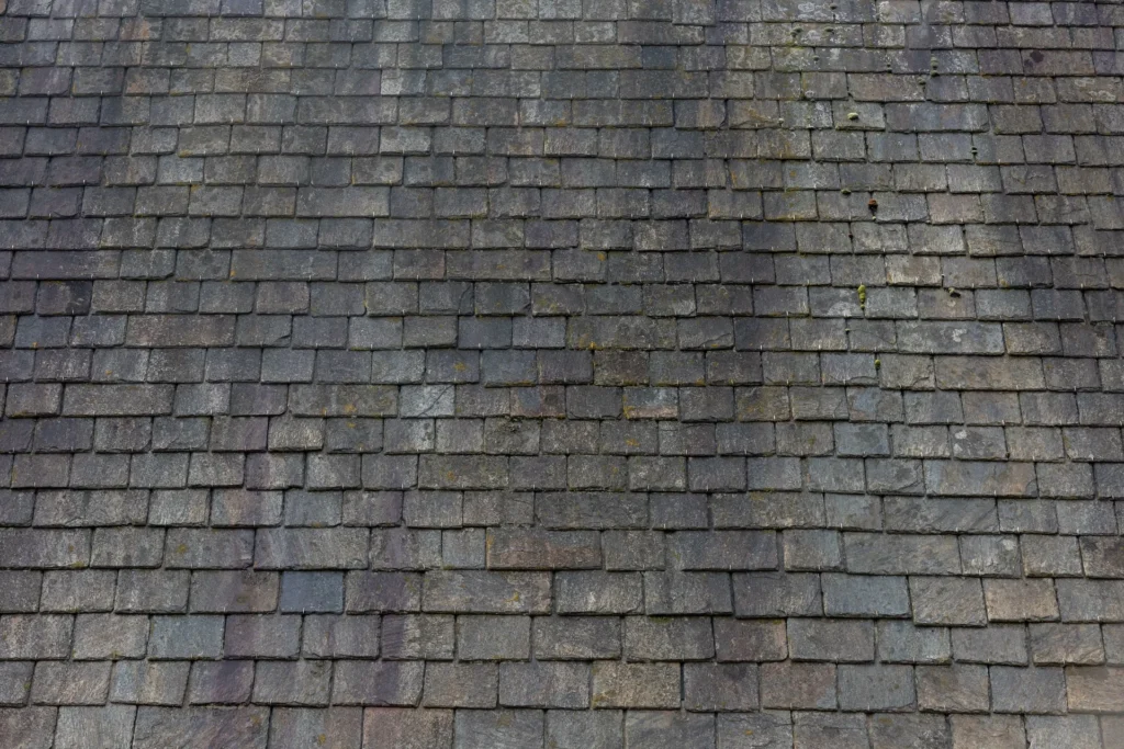 black algae streaks and moss on asphalt roof shingles