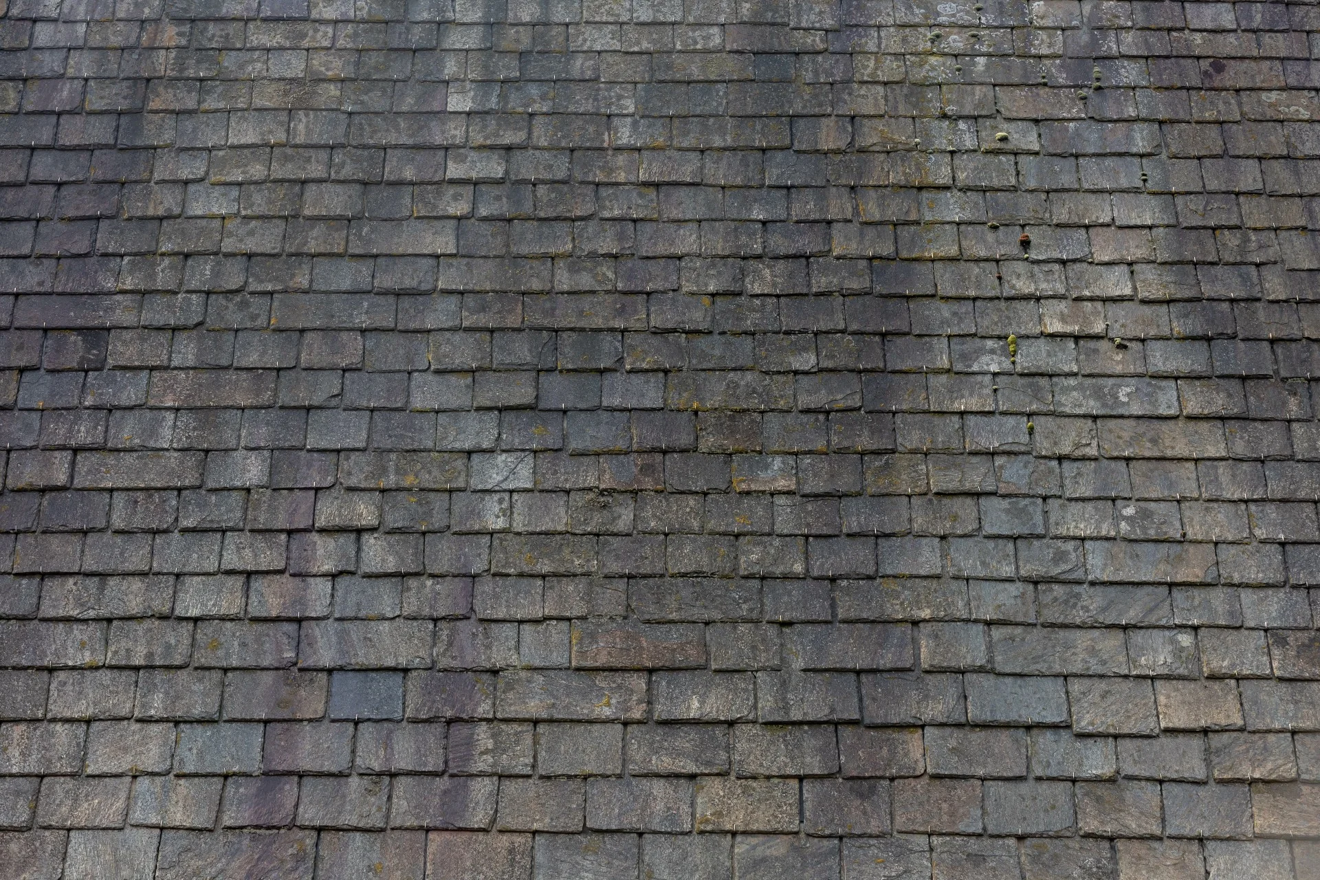 black algae streaks and moss on asphalt roof shingles