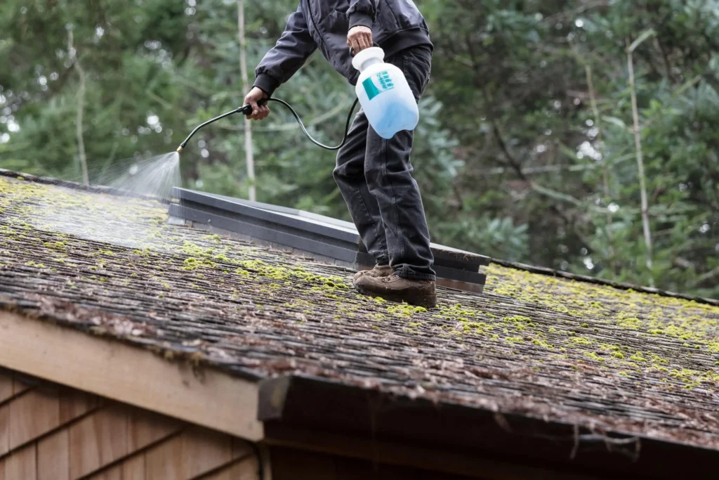 safe soft wash method to remove algae and moss from roof shingles